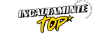 incaltamintetop