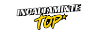 incaltamintetop